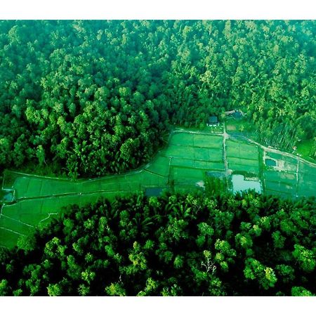 Vayal Veedu - Luxury Farm Villas By The Woods Muthanga Exterior photo