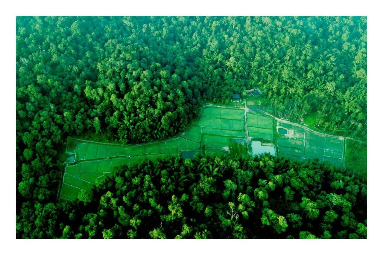 Vayal Veedu - Luxury Farm Villas By The Woods Muthanga Exterior photo